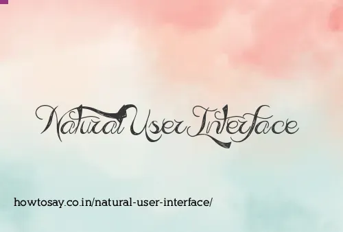 Natural User Interface
