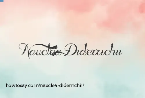 Nauclea Diderrichii