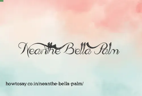 Neanthe Bella Palm