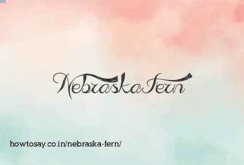 Nebraska Fern