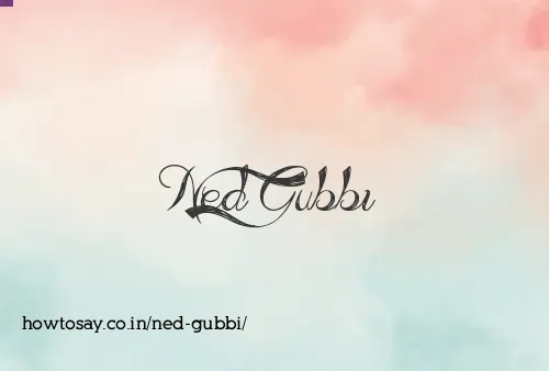 Ned Gubbi