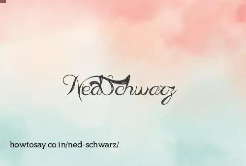 Ned Schwarz