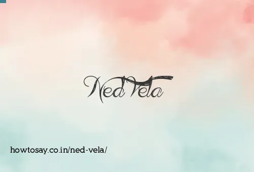 Ned Vela