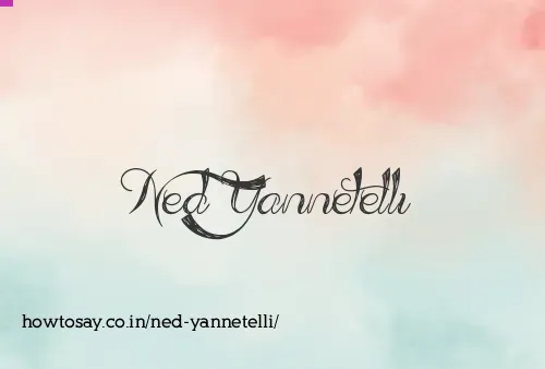 Ned Yannetelli