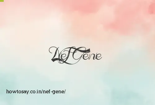 Nef Gene