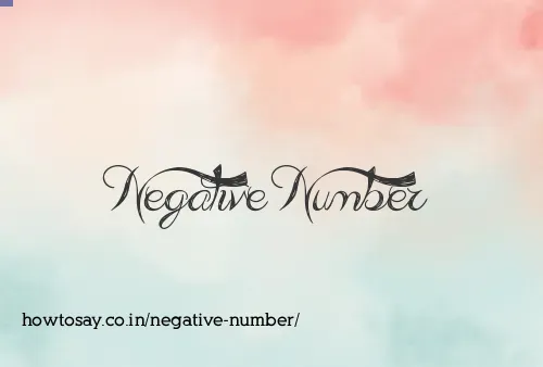 Negative Number