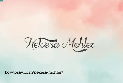 Nekesa Mohler
