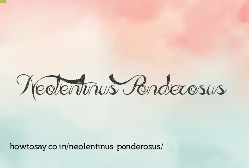 Neolentinus Ponderosus