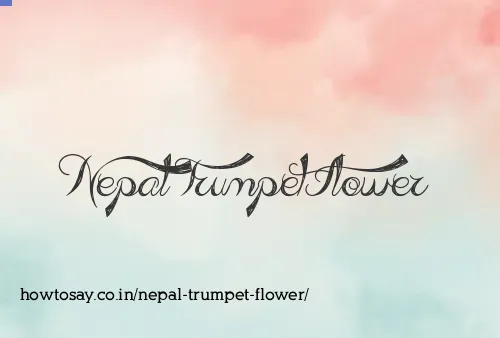 Nepal Trumpet Flower