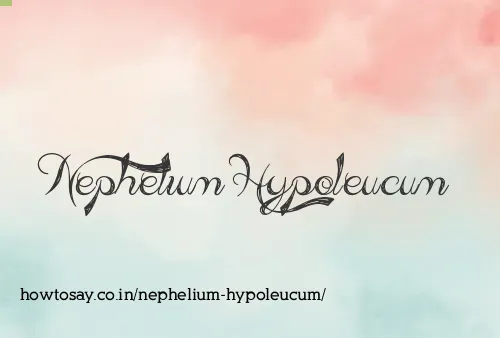 Nephelium Hypoleucum