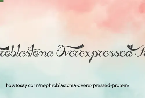 Nephroblastoma Overexpressed Protein