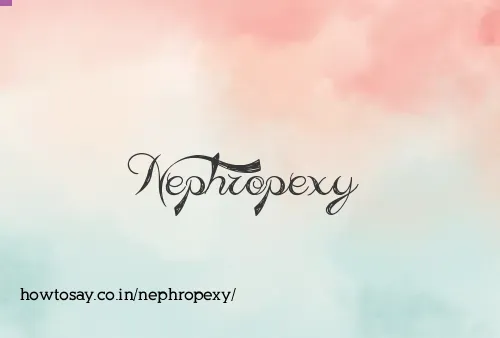Nephropexy