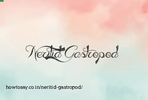Neritid Gastropod