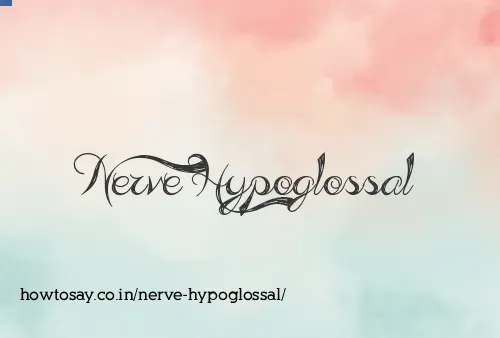 Nerve Hypoglossal