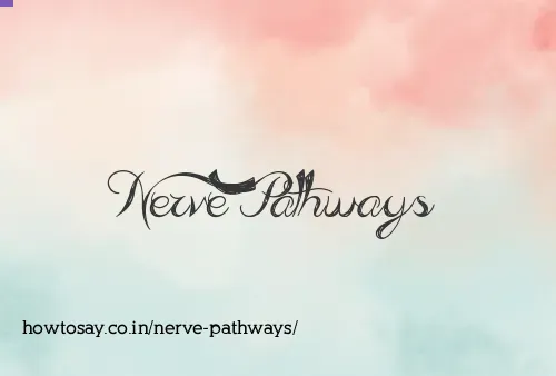 Nerve Pathways