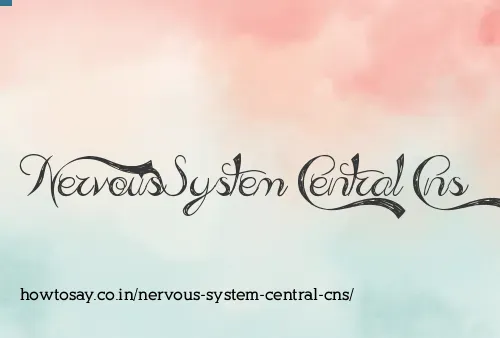 Nervous System Central Cns