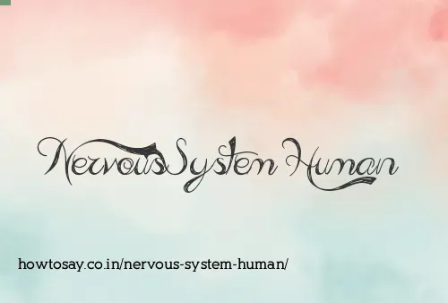 Nervous System Human