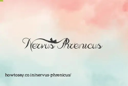 Nervus Phrenicus