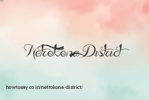 Netrokona District