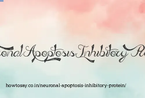 Neuronal Apoptosis Inhibitory Protein