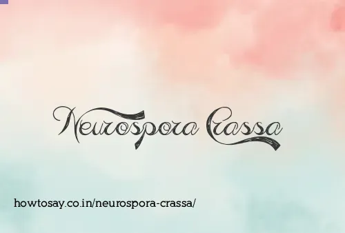 Neurospora Crassa