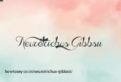 Neurotrichus Gibbsii