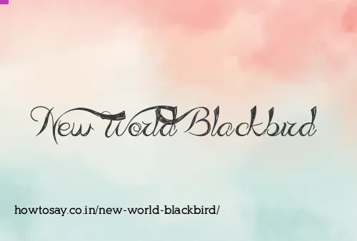 New World Blackbird