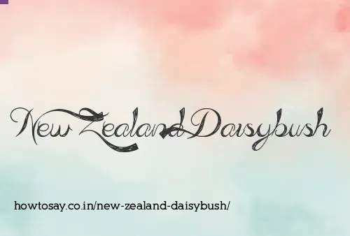 New Zealand Daisybush