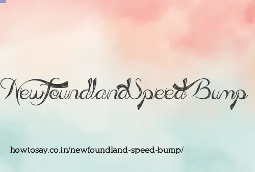 Newfoundland Speed Bump