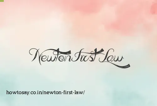 Newton First Law