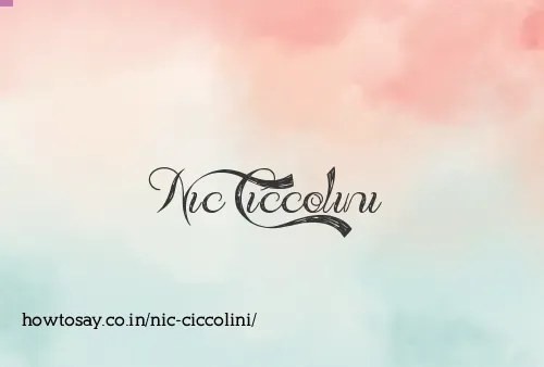 Nic Ciccolini