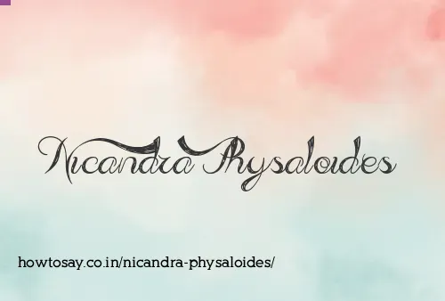 Nicandra Physaloides