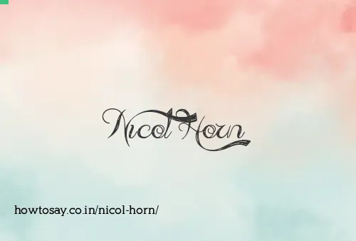 Nicol Horn