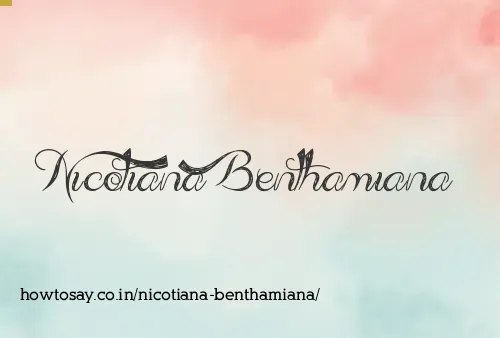 Nicotiana Benthamiana