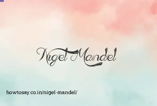 Nigel Mandel
