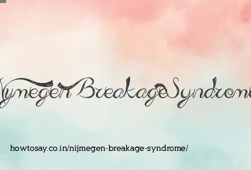 Nijmegen Breakage Syndrome