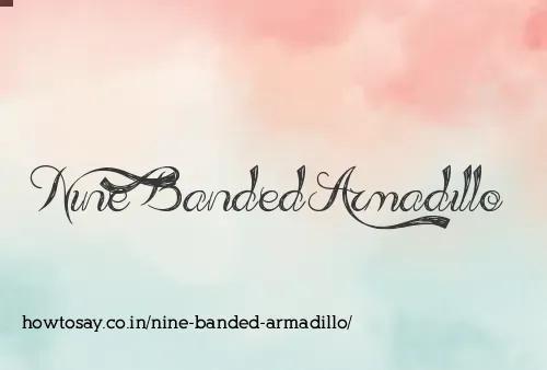 Nine Banded Armadillo