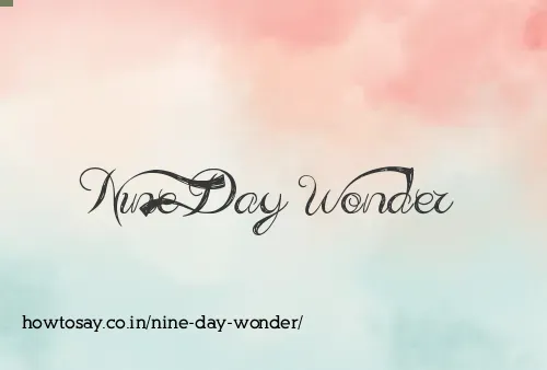 Nine Day Wonder