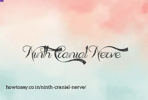 Ninth Cranial Nerve