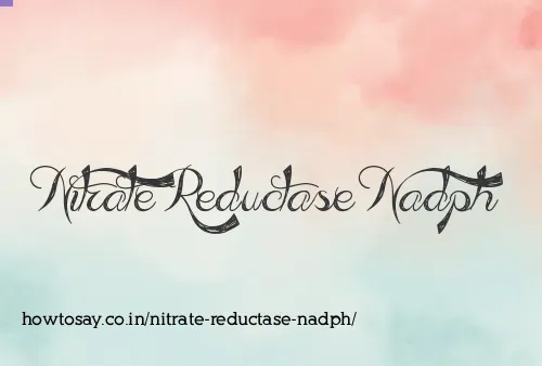 Nitrate Reductase Nadph