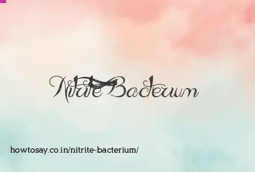 Nitrite Bacterium