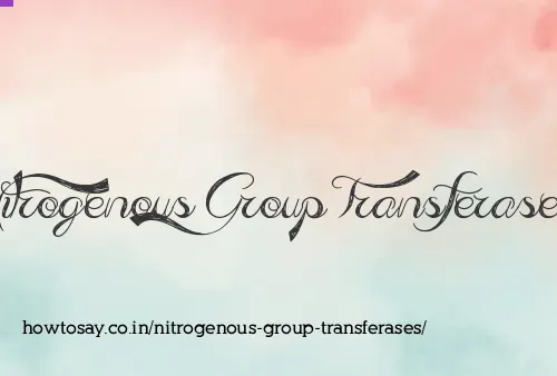 Nitrogenous Group Transferases
