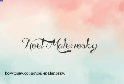 Noel Malenosky