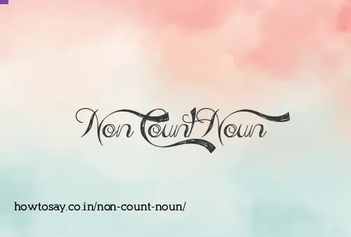 Non Count Noun