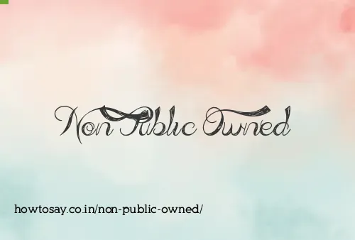 Non Public Owned