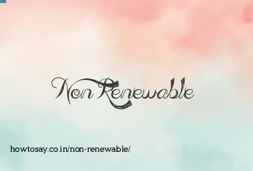 Non Renewable