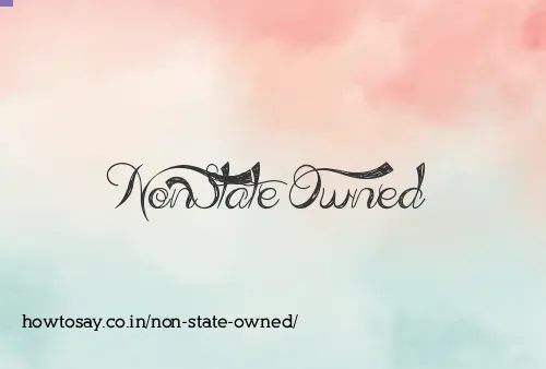 Non State Owned