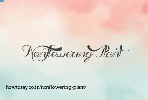 Nonflowering Plant