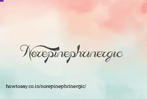 Norepinephrinergic