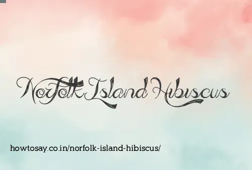 Norfolk Island Hibiscus